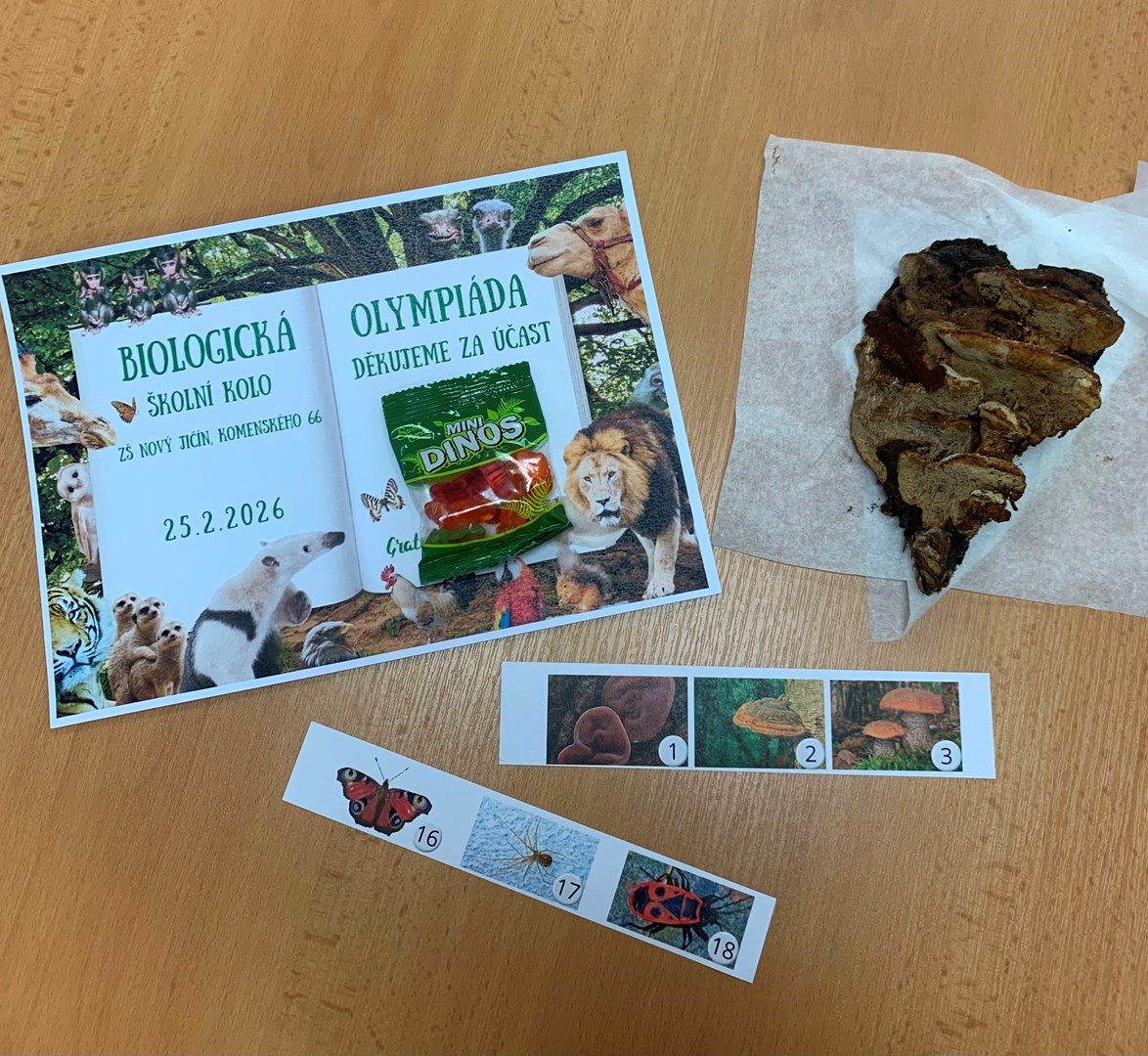 Biologická olympiáda nanečisto